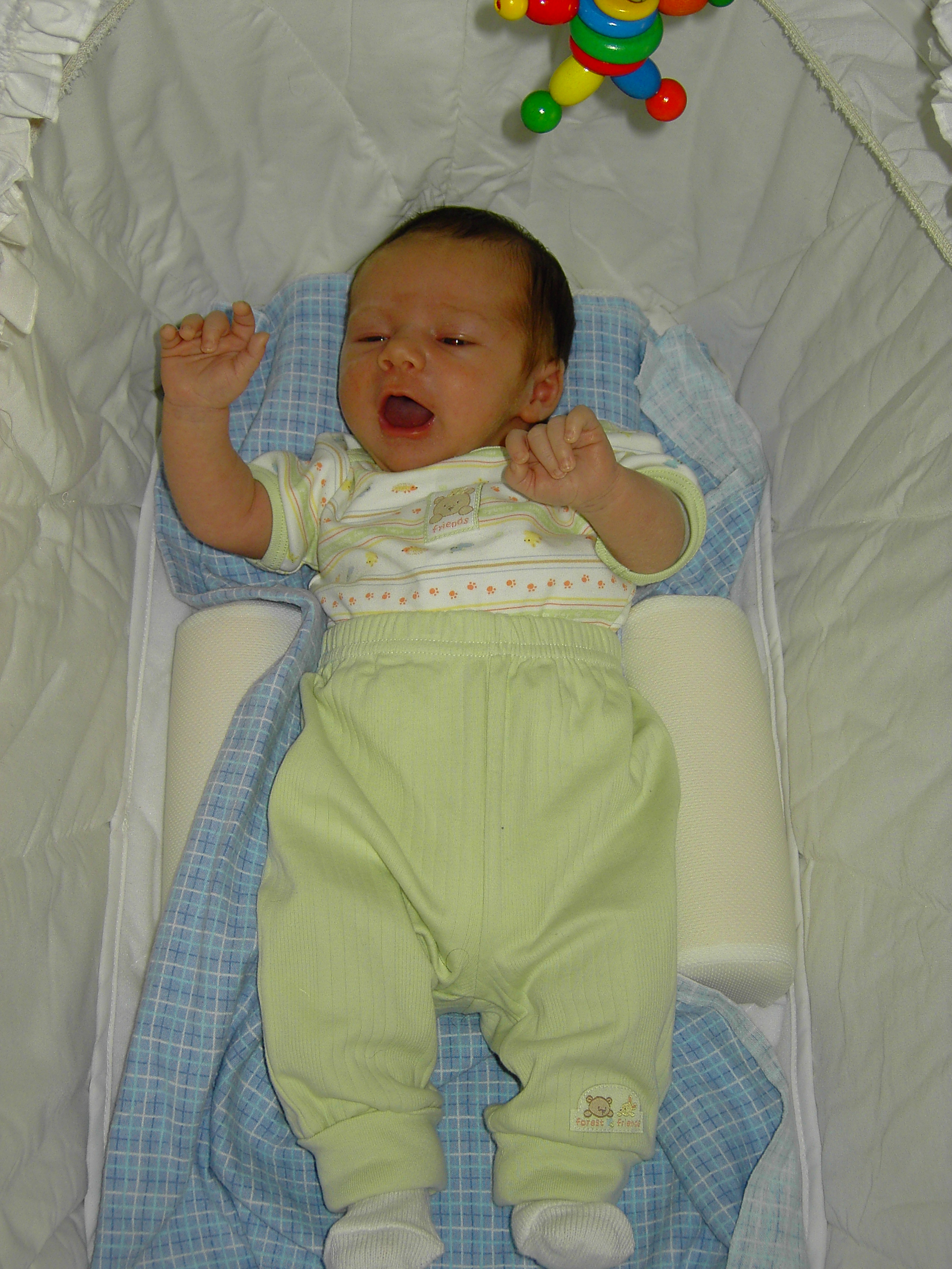 tyinbassinet.jpg